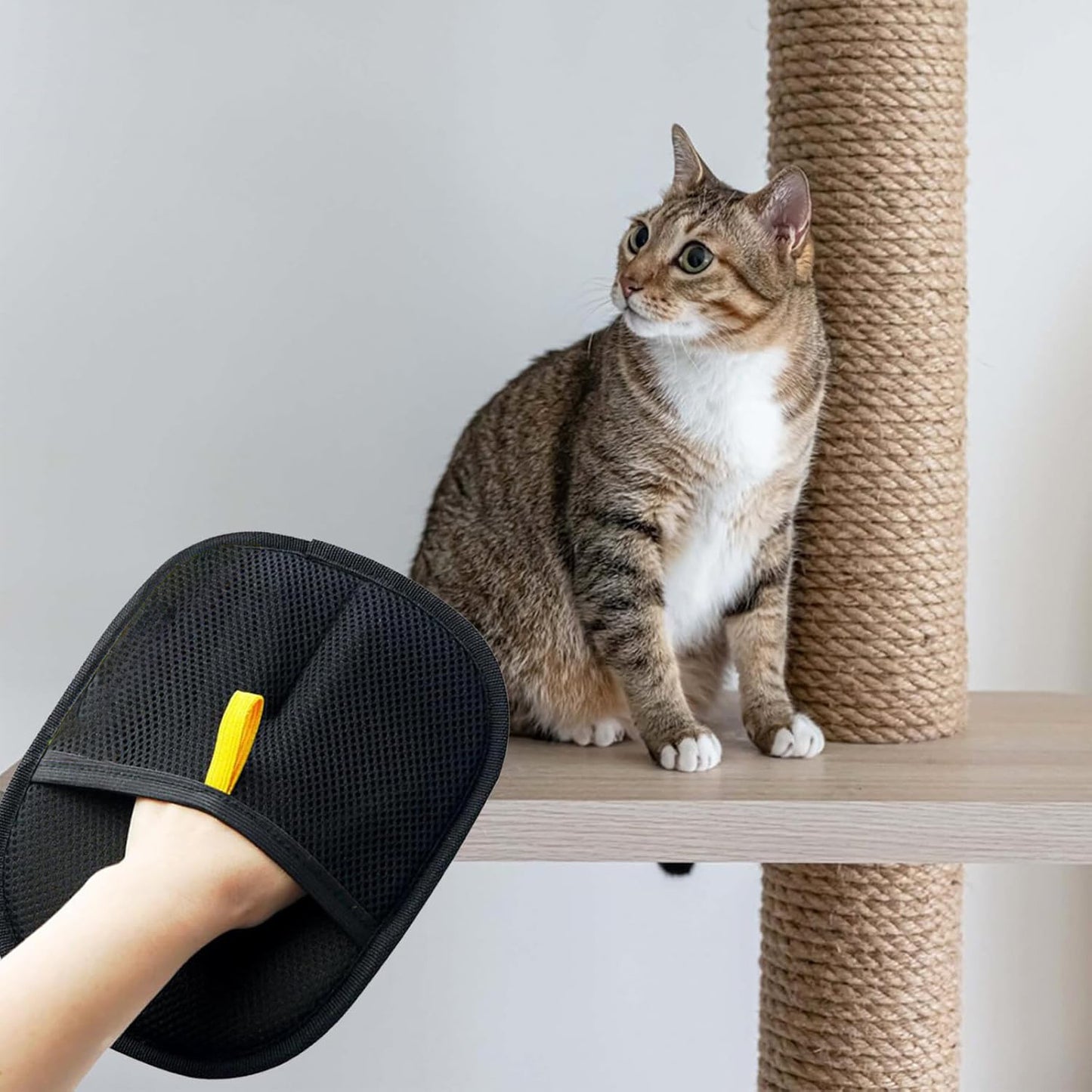 FurSweep Glove