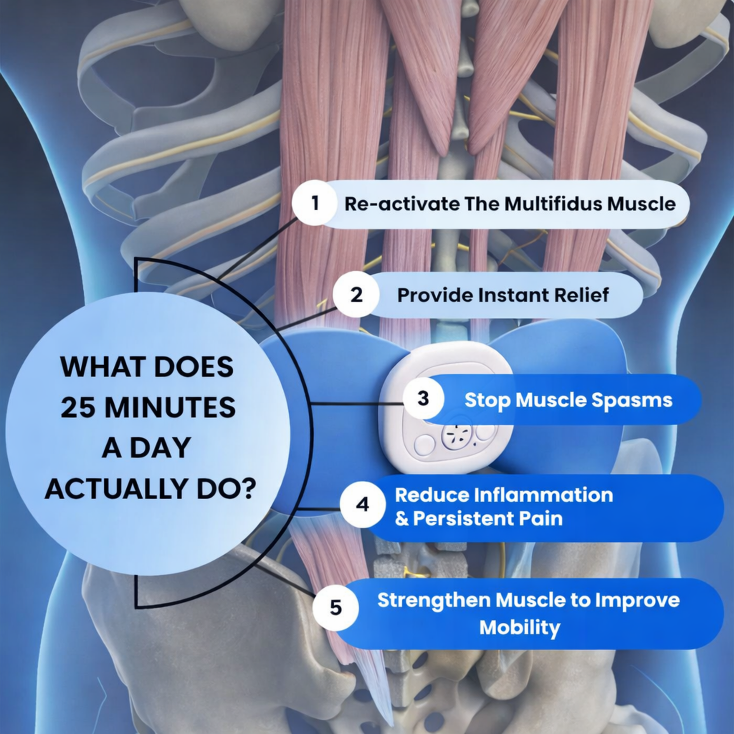 NeuroPulse Pro EMS Pad